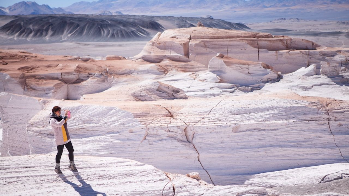 Los daños que se realizaron en el área natural pueden tardar entre 30 y 40 años en recuperarse.