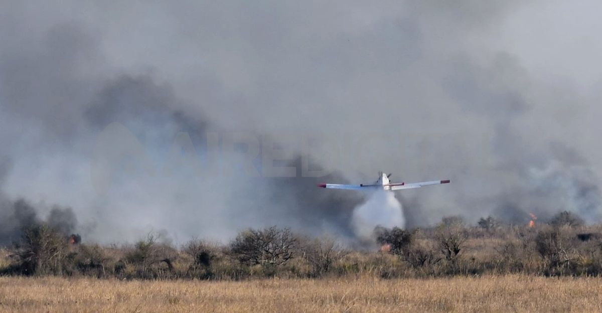 El Delta y las islas del río Paraná son una de las zonas más afectadas por los incendios.
