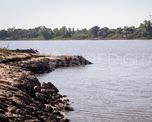 La exportación de pescado de río es un negocio que empieza en pesos y termina en dólares. La exportación de pescado de río es un negocio que empieza en pesos y termina en dólares.