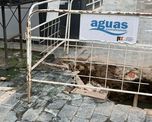 Pérdida de líquidos cloacales en Eva Perón al 2900. Pérdida de líquidos cloacales en Eva Perón al 2900.