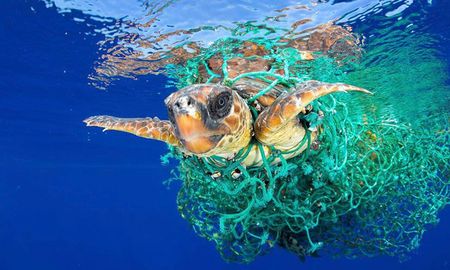 9 datos sobre la contaminacion por plasticos en los oceanos 9 datos sobre la contaminacion por plasticos en los oceanos