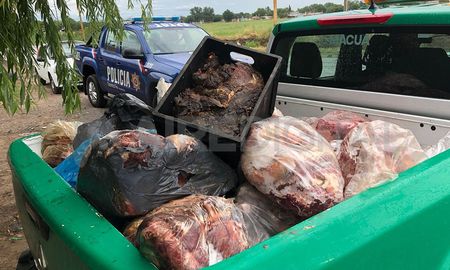 Por denuncias de los vecinos, motivadas por el mal olor, la semana pasada hubo múltiples decomisos de carne podrida en Santa Fe. Por denuncias de los vecinos, motivadas por el mal olor, la semana pasada hubo múltiples decomisos de carne podrida en Santa Fe.