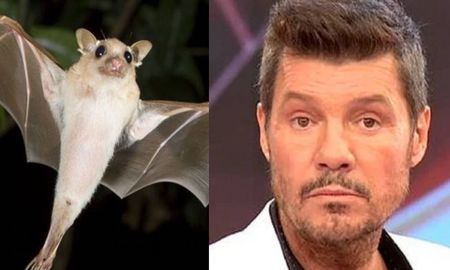 Marcelo Tinelli recordó el plato más asqueroso que comió. Marcelo Tinelli recordó el plato más asqueroso que comió.