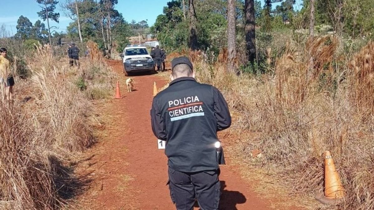 El detenido confesó haber cometido el homicidio asegurando que “era el diablo”.