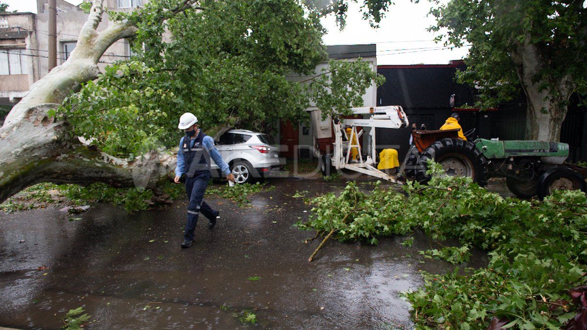 El personal de la Municipalidad de Santa Fe comenzó este martes a la mañana con la limpieza de las calles.
