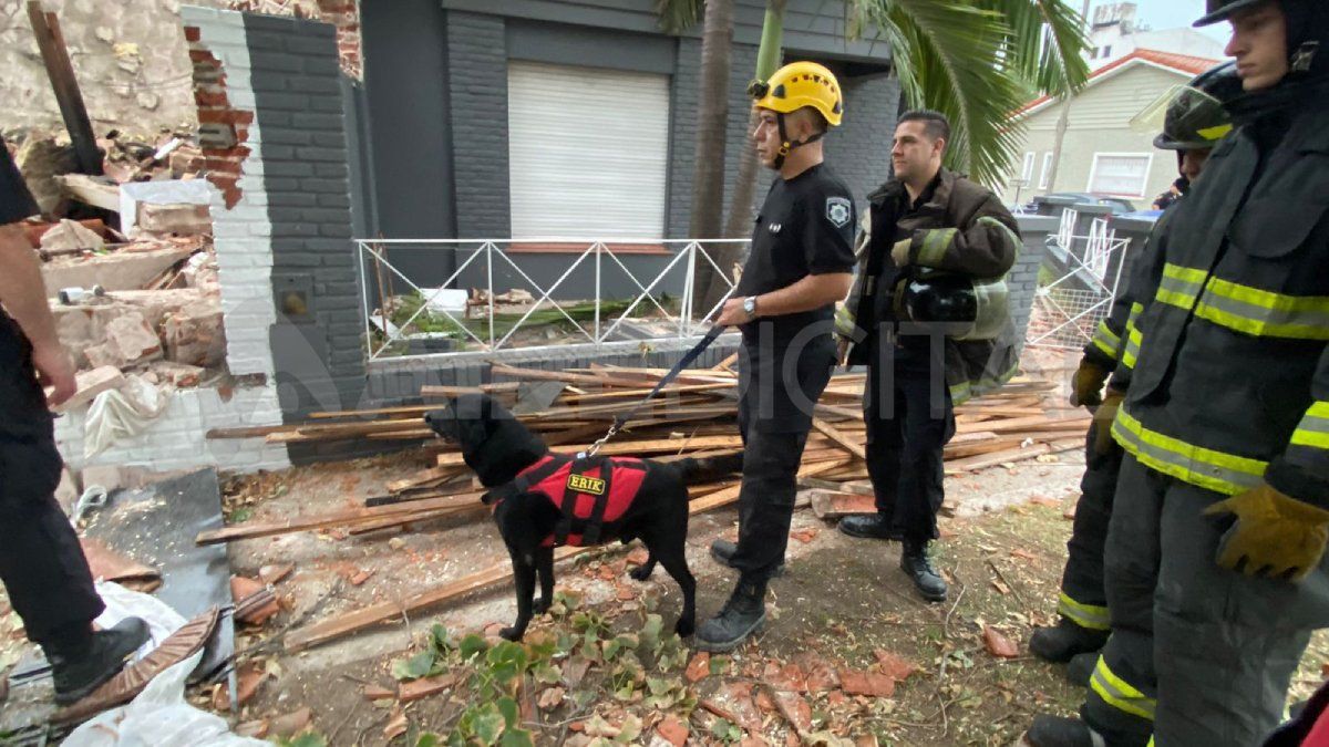 Erik, el perro que prestó colaboración en el lugar.