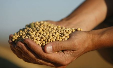 los agricultores argentinos sufren una alarmante perdida de poder adquisitivo los agricultores argentinos sufren una alarmante perdida de poder adquisitivo