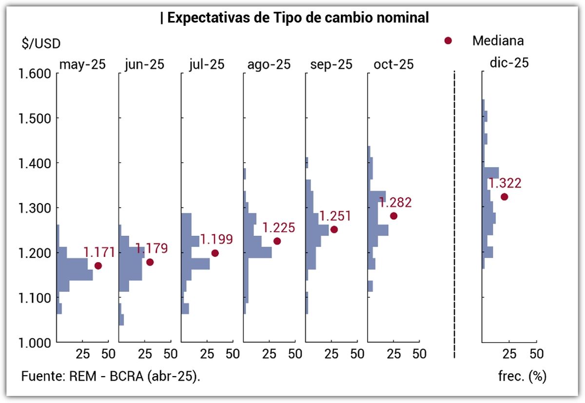 Fuente: Relevamiento de expectativas del mercado - Banco Central. Fuente: Relevamiento de expectativas del mercado - Banco Central.