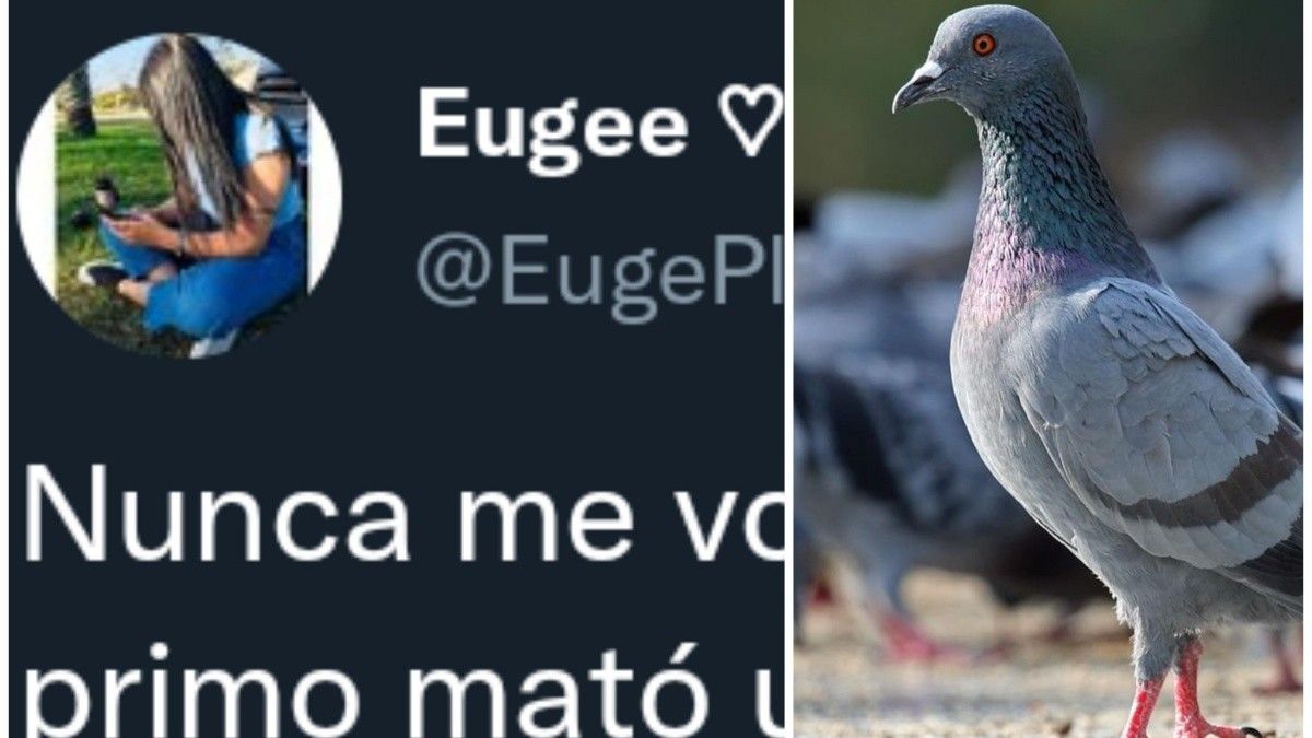 La divertida anécdota se volvió rápidamente viral en las redes sociales y se llenó de mensajes.