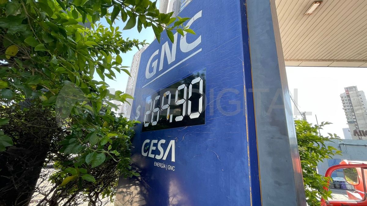 Desde este martes el precio del metro cúbico de gas cuesta 269,90 pesos. Desde este martes el precio del metro cúbico de gas cuesta 269,90 pesos.