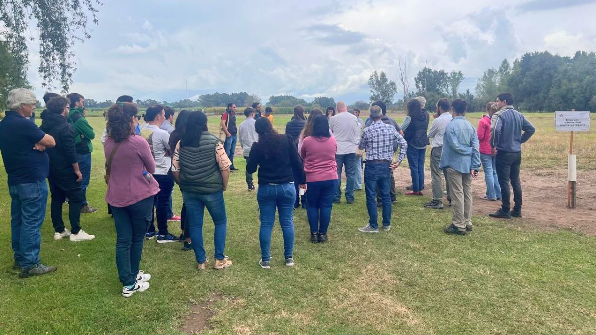 Mejoramiento genético, la ecofisiología, la nutrición y protección de cultivos y sustentabilidad, fueron tópicos abordados en distintos módulos temáticos. Mejoramiento genético, la ecofisiología, la nutrición y protección de cultivos y sustentabilidad, fueron tópicos abordados en distintos módulos temáticos.