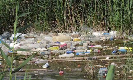 Preocupa la acumulación de residuos en la zona de islas aledañas a Monte Vera. Preocupa la acumulación de residuos en la zona de islas aledañas a Monte Vera.