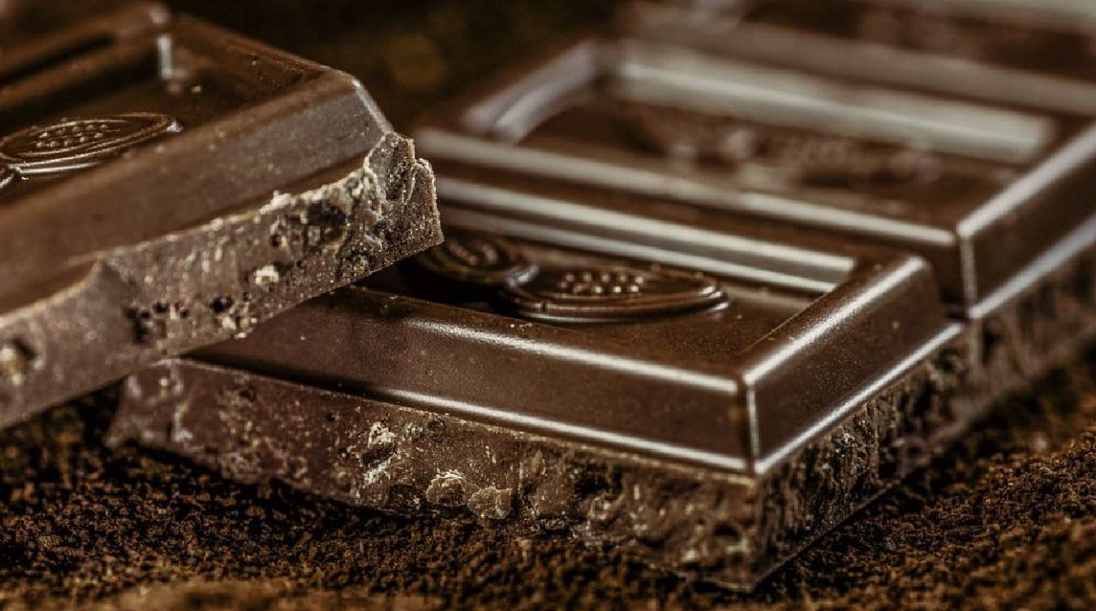 Chocolate y cacao: cómo y cuánto