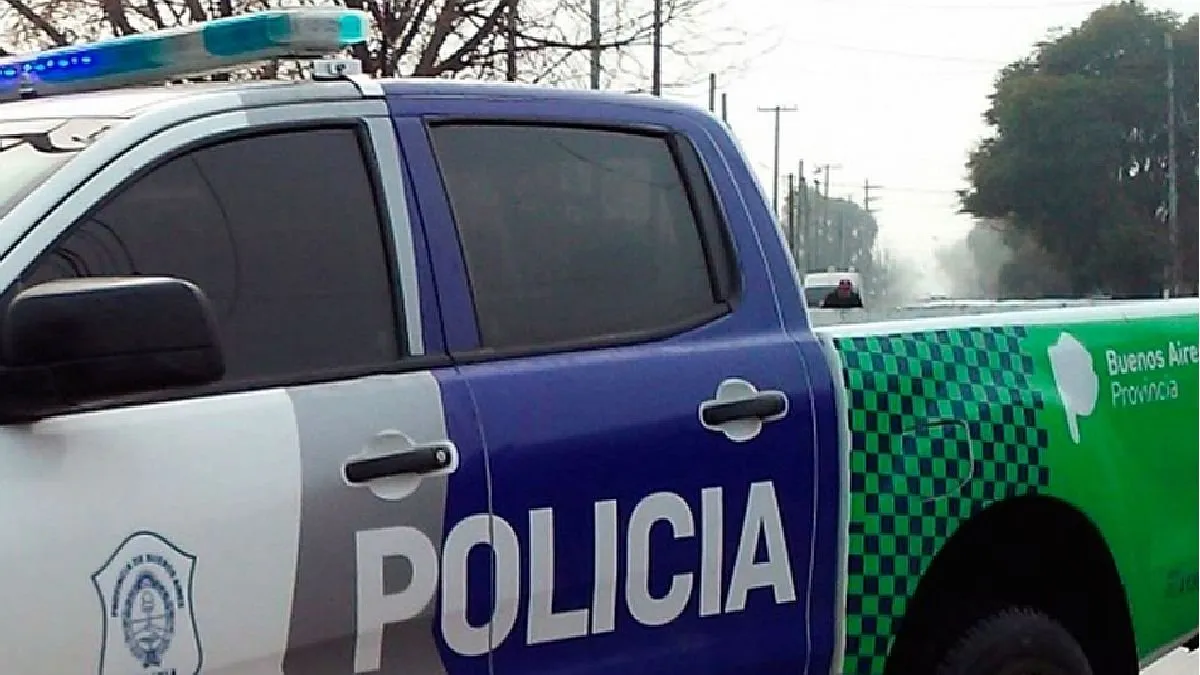 El adolescente de 17 años fue entregado por su propia madre a la policía de Mar del Plata.
