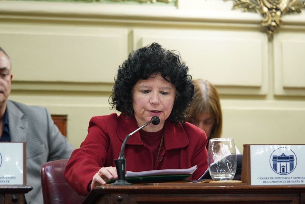 Silvia Malfesi es diputada provincial y fue convencional reformadora.