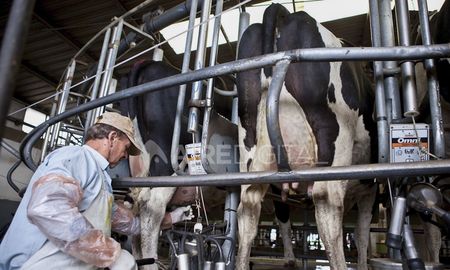 En la segunda joranda de Expoagro 2025 se realizó el conversatorio “De regreso a la FIL, ¿por qué es importante la participación de Argentina?”. En la segunda joranda de Expoagro 2025 se realizó el conversatorio “De regreso a la FIL, ¿por qué es importante la participación de Argentina?”.