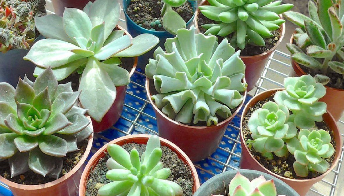 En espacios de interior del hogar equilibra las energías