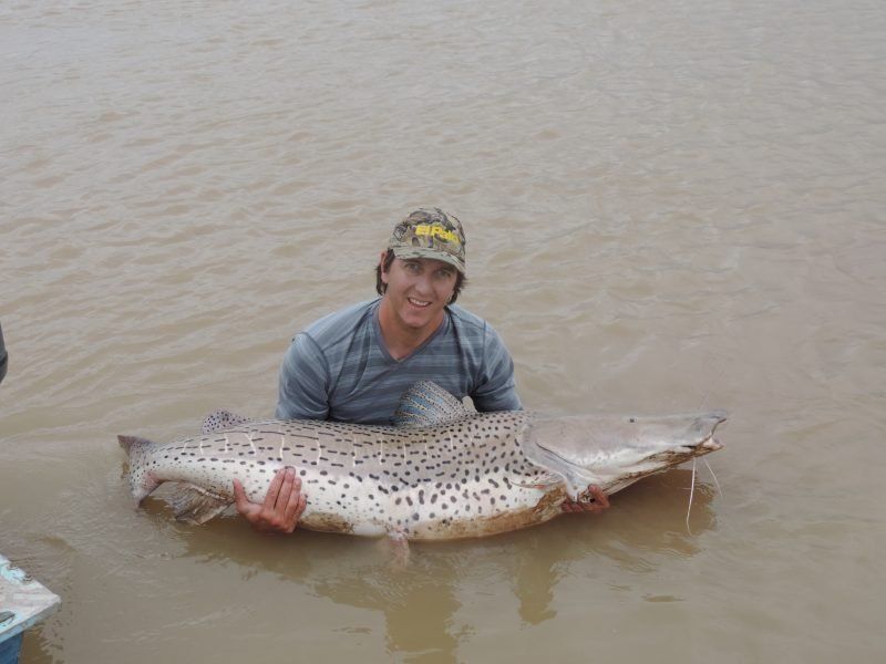 Bestias de los ríos Teuco y Bermejo