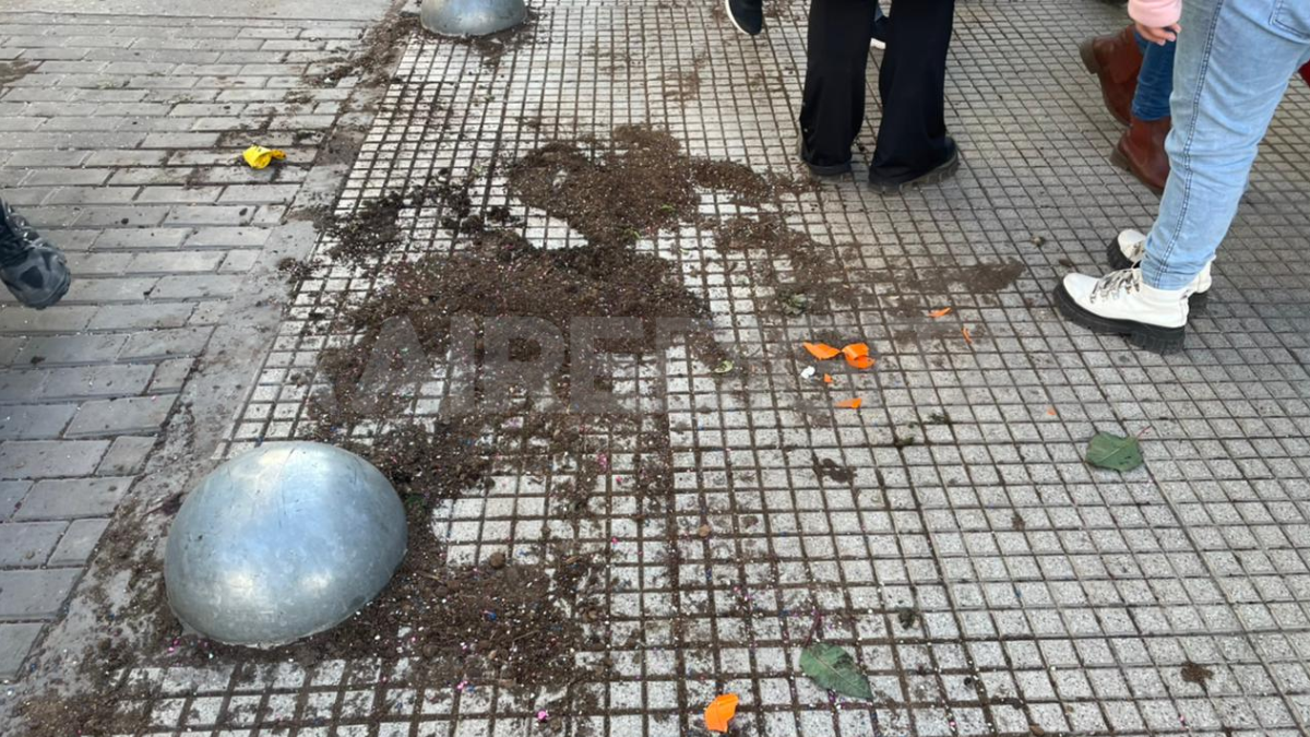 La tierra y parte de los plantines que vendía el florista quedaron tirados en el piso de la peatonal.