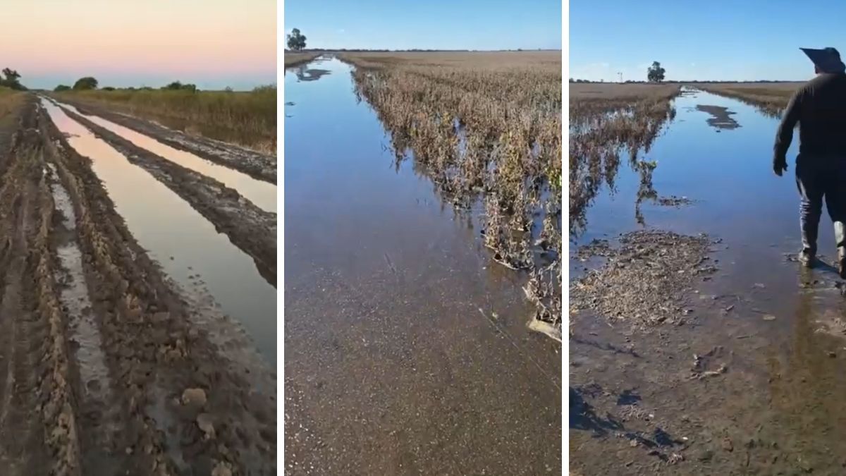 A un mes del temporal, los campos de Villa Minetti continúan bajo el agua.