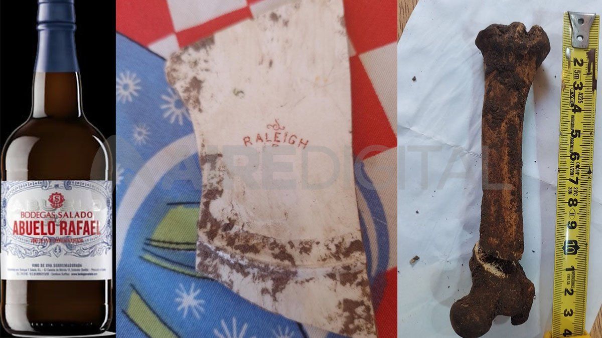 Estos son algunos de los restos óseos y otros objetos que se encontraron en el patio de la casa ubicada en Gobernador Freire al 1400.