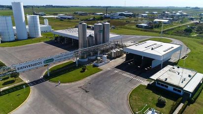 Lechería: Arcor y Danone van por La Serenísima con una oferta que genera polémica