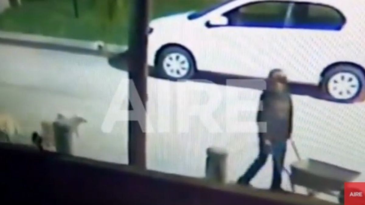 Las cámaras de seguridad tomaron a dos ladrones de alcantarillas en la zona de French.