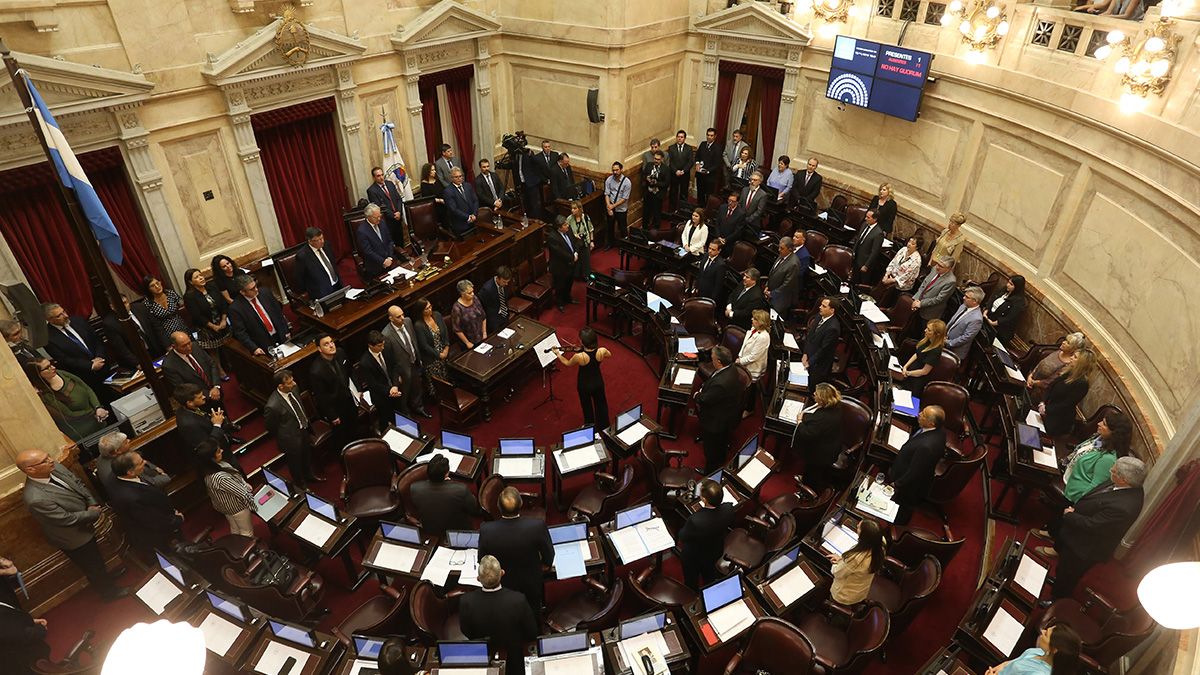 En medio de problemas con la luz, juraron los nuevos senadores nacionales