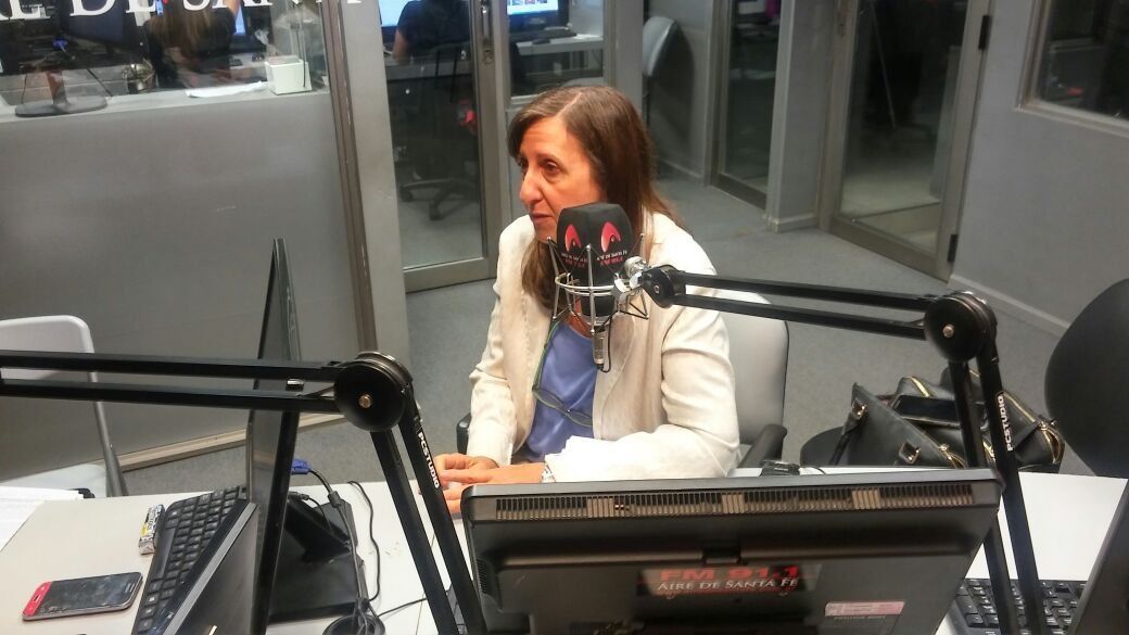 La secretaria de Ni&ntilde;ez de la provincia de Santa Fe, Patricia Chialvo