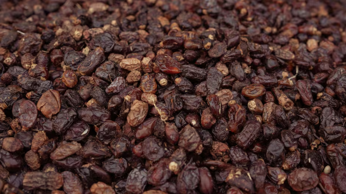 El organismo también dispuso la prohibición de un suplemento dietario a base de miel por tener registros sanitarios inexistentes.