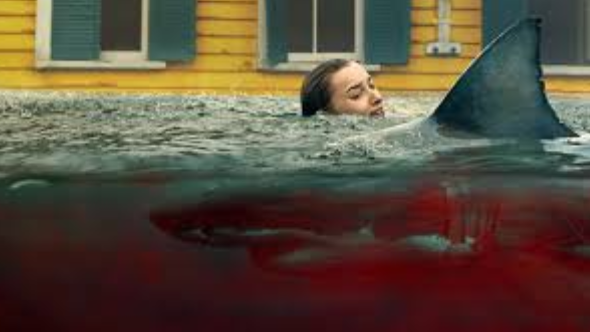 Embestida de Netflix. Embestida de Netflix.