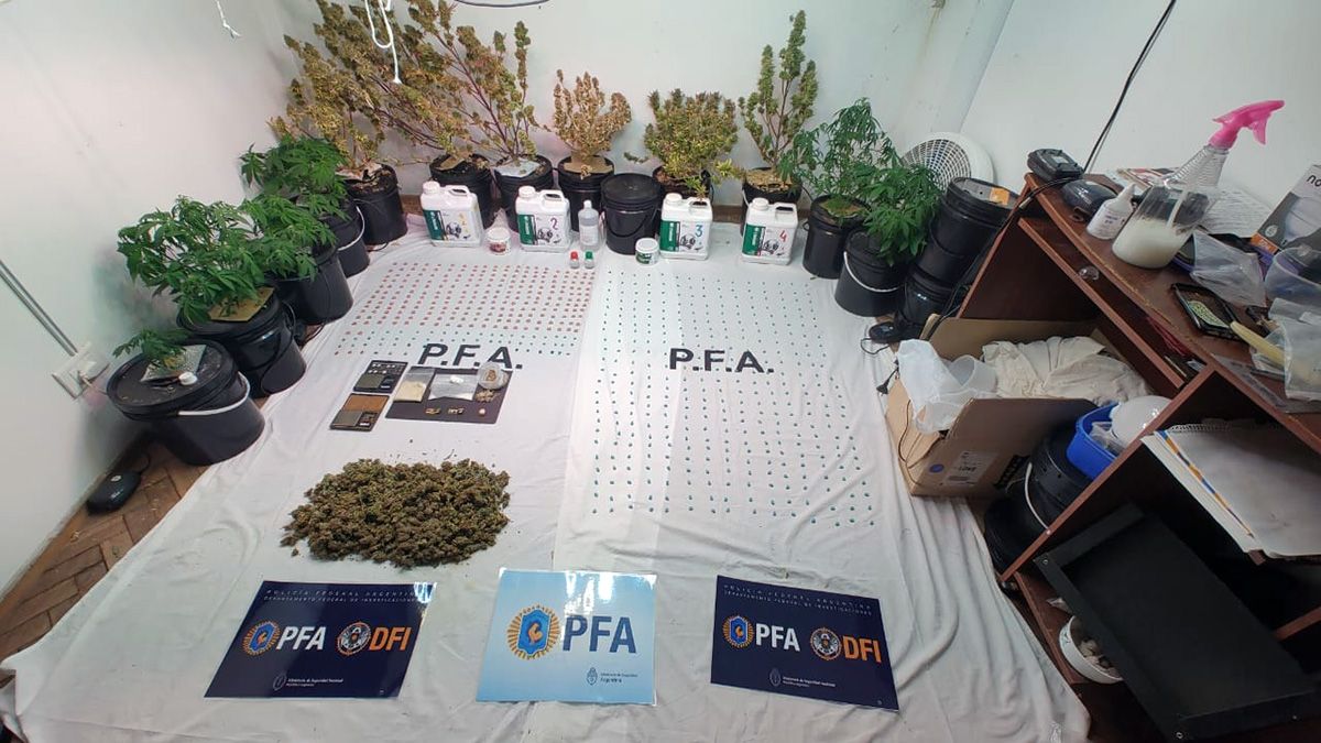 Golpe al narcotráfico en Rosario: secuestraron drogas de diseño valuadas en más de 60 millones de pesos. Golpe al narcotráfico en Rosario: secuestraron drogas de diseño valuadas en más de 60 millones de pesos.