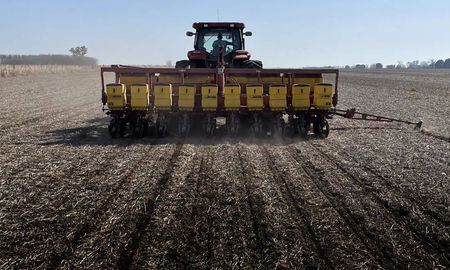 santa fe: las lluvias impulsaron la siembra de girasol y proyectan la cifra mas alta en 15 anos santa fe: las lluvias impulsaron la siembra de girasol y proyectan la cifra mas alta en 15 anos