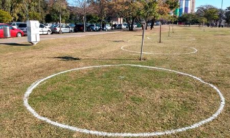 Rosario avanza con el uso de círculos de distanciamiento social en sus parques y plazas Rosario avanza con el uso de círculos de distanciamiento social en sus parques y plazas
