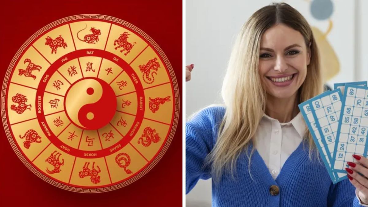 Cuáles son los signos del horóscopo chino que podrían ganar la lotería este año.
