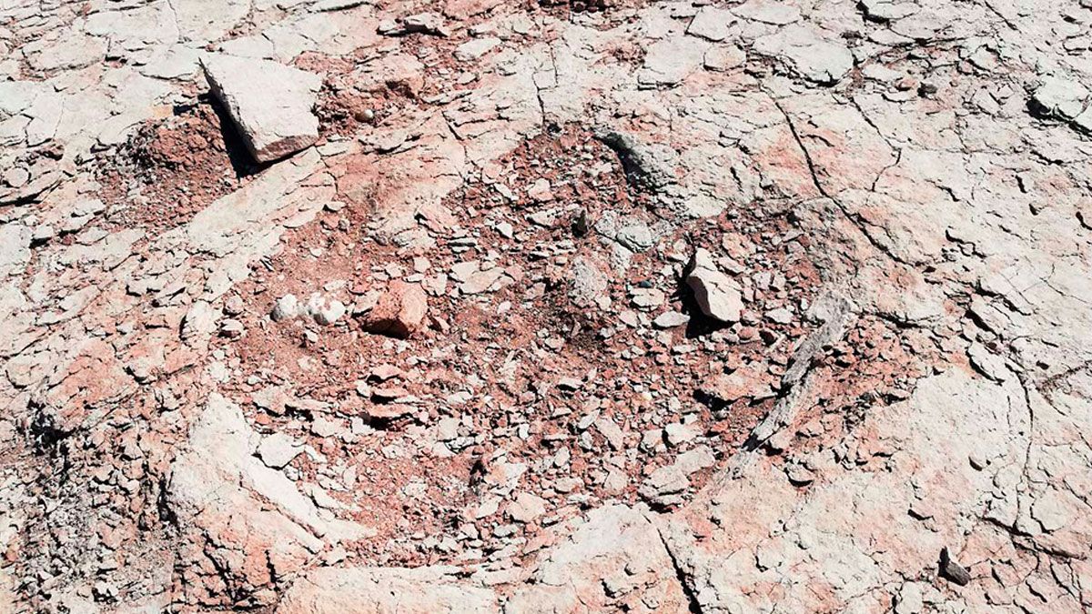 Prefectura encuentra huellas de un dinosaurio bípedo en la localidad neuquina de Villa El Chocón.