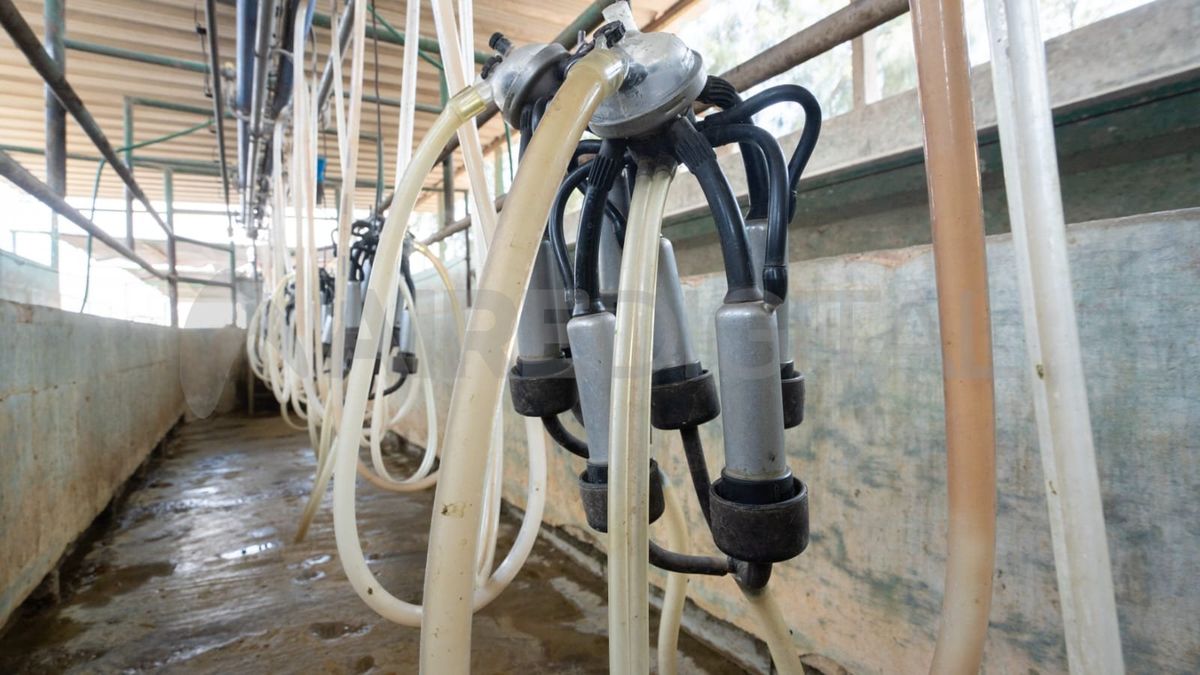 Los tambos recibirán aportes de hasta 60.000 pesos.