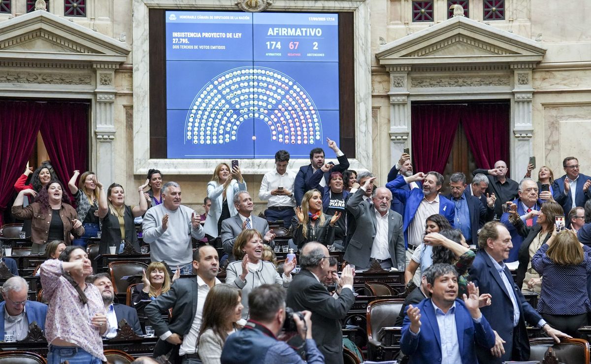 La Cámara de Diputados de la Nación rechazó por amplia mayoría los vetos del presidente Javier Milei.