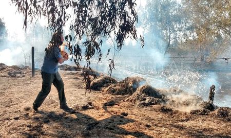 Con baldes y mangueras, los vecinos de Colastiné Norte intentan apagar los focos ígneos cercanos a sus viviendas. Con baldes y mangueras, los vecinos de Colastiné Norte intentan apagar los focos ígneos cercanos a sus viviendas.