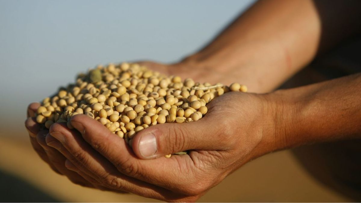 Los agricultores argentinos sufren una alarmante pérdida de poder adquisitivo