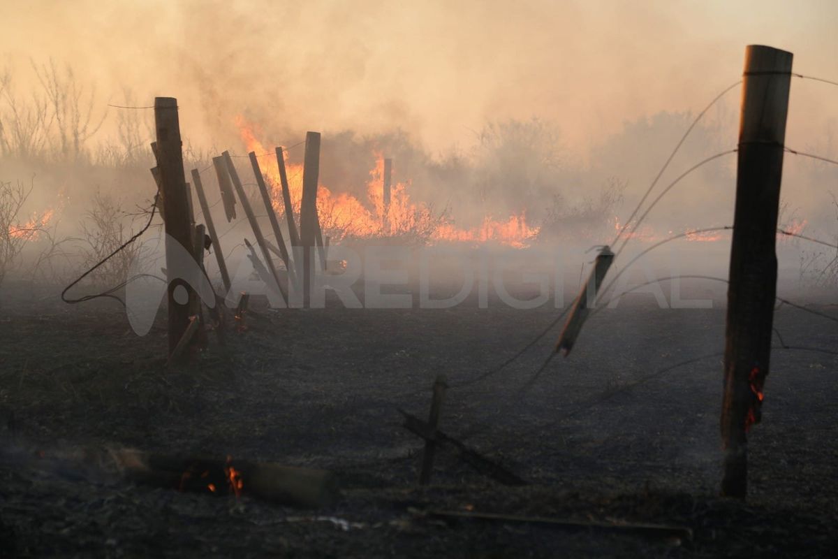 El ministro de Ambiente y Desarrollo Sostenible de la Nación