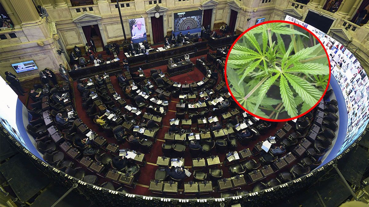 El diputado nacional por el Socialismo