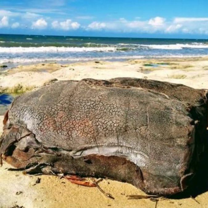 "Cajas misteriosas" encontradas en la costa de Brasil