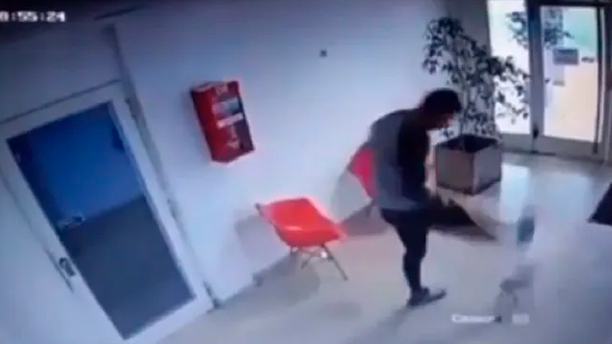 Según informó la ONG Amigo a casa