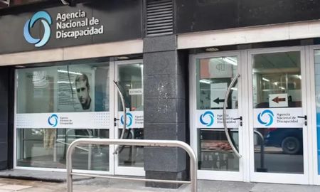 Este martes finalizó la extracción de datos del celular del ex titular de la Agencia Nacional de Discapacidad (Andis), Diego Spagnuolo. Este martes finalizó la extracción de datos del celular del ex titular de la Agencia Nacional de Discapacidad (Andis), Diego Spagnuolo.