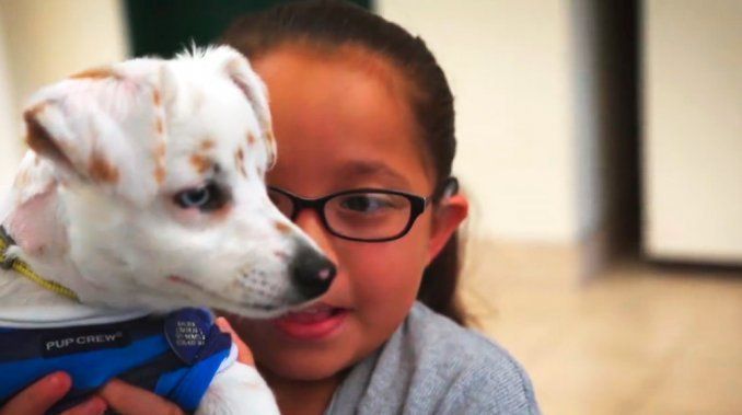 Una nena y su cachorro, ambos sordos, se comunican por lenguaje de señas