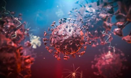 La OMS investiga el origen del covid en China. No registraron evidencias de casos antes del 2019. La OMS investiga el origen del covid en China. No registraron evidencias de casos antes del 2019.