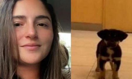 La excusa que había dicho en las redes sociales es que lo hizo porque el cachorro estaba muy mal cuidado por el maltrato de su dueño. La excusa que había dicho en las redes sociales es que lo hizo porque el cachorro estaba muy mal cuidado por el maltrato de su dueño.