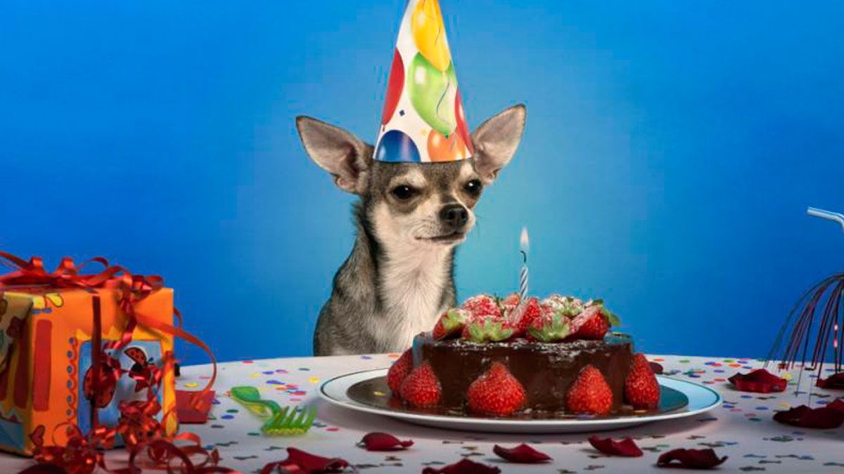 La funcionaria de Villa Giardino fue apartada y se está investigando el caso en el que se sospecha que se reunieron unas 10 personas.&nbsp;