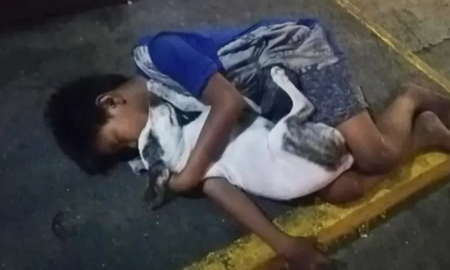 La historia del niño que se aferra a su perro para no sufrir frío La historia del niño que se aferra a su perro para no sufrir frío